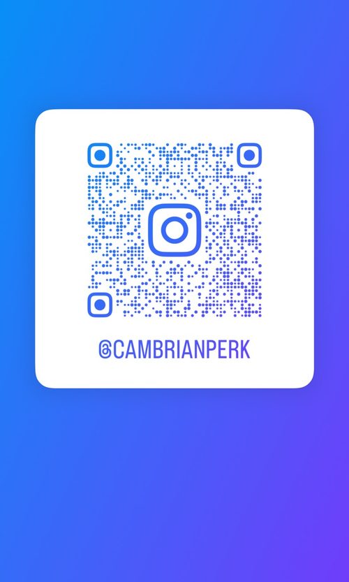 Scan to follow Cambrian Perk on Instagram